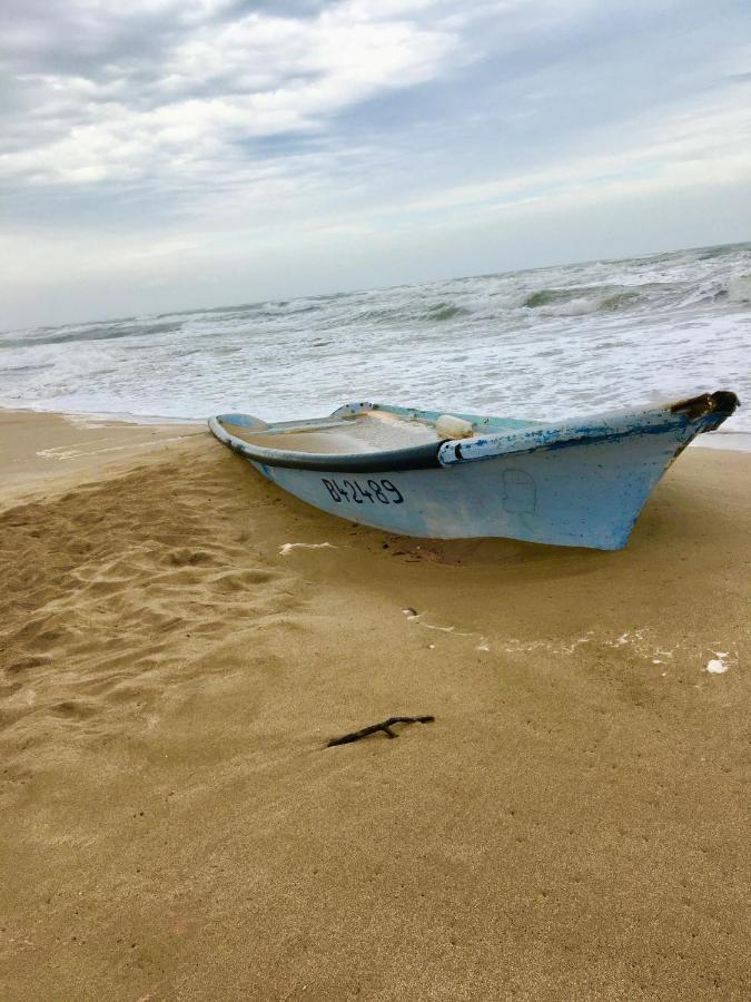 Beach, Wine, Dining, Sports, Summer, Winter Διαμέρισμα Sérignan Εξωτερικό φωτογραφία
