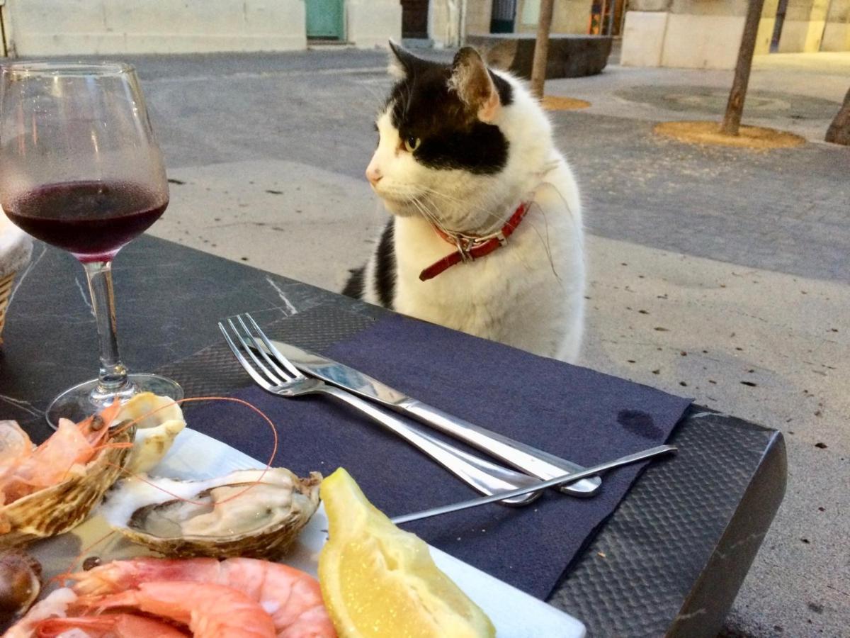 Beach, Wine, Dining, Sports, Summer, Winter Διαμέρισμα Sérignan Εξωτερικό φωτογραφία